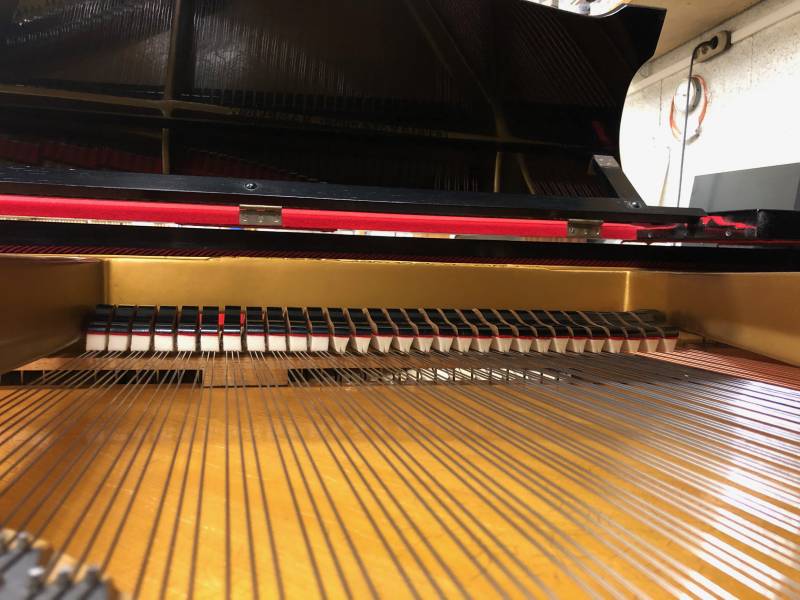 Le remplacement à neuf des étouffoirs d'un piano haut de gamme