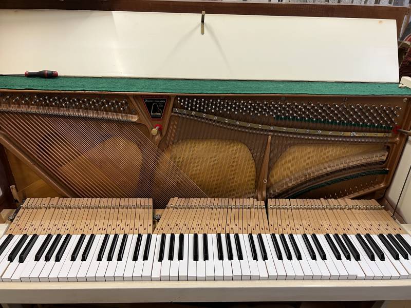 Réviser son piano acoustique : des raisons musicales et économiques.